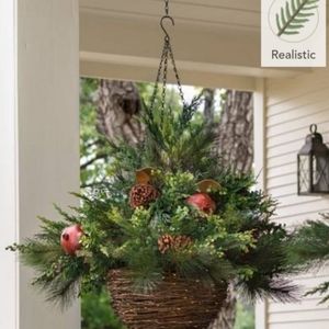 Mixed Pine hanging basket